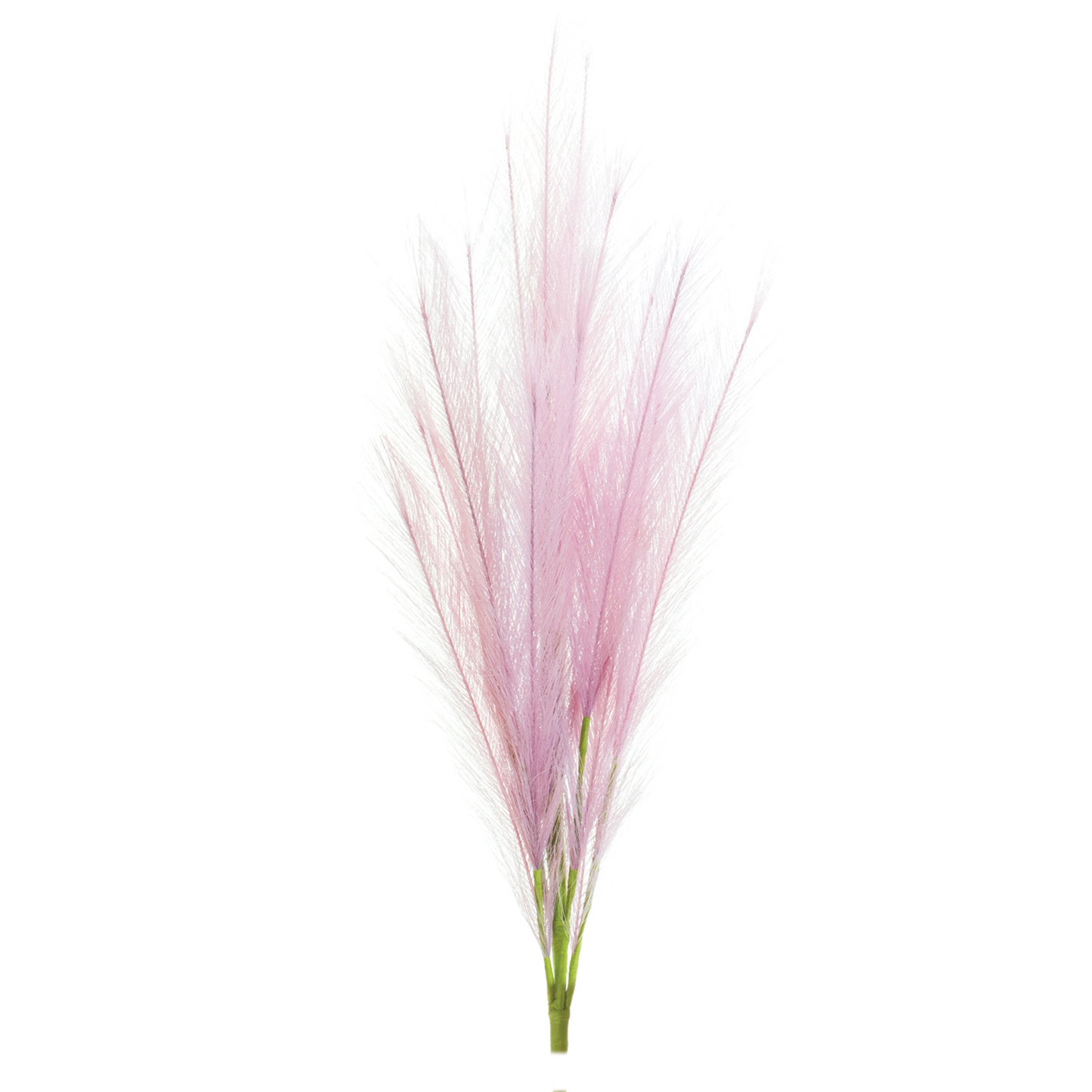 Plume Spray (Set of 6)