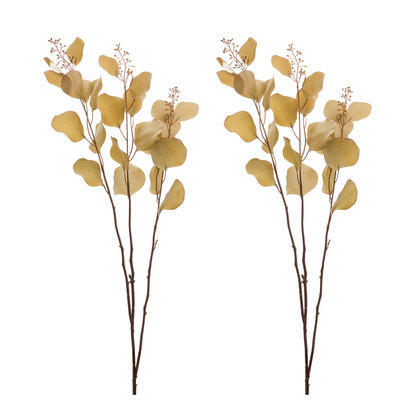 Seeded Eucalyptus Stem (Set of 2)