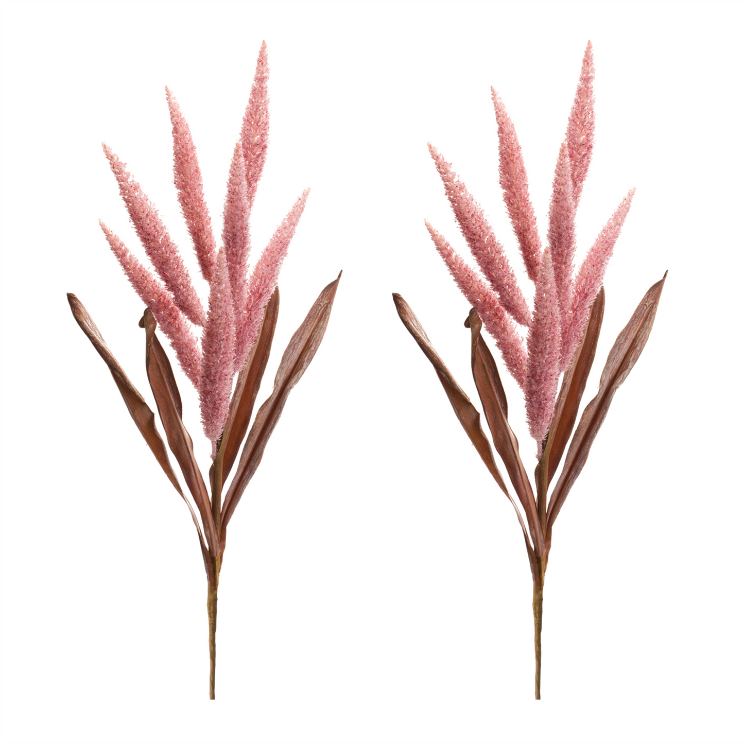 Foxtail Plume Stem (Set of 2)
