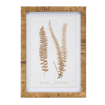 Wood Framed Fern Print (Set of 4)