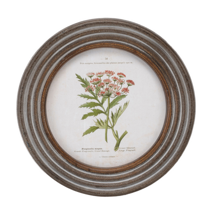 Round Framed Floral Print (Set of 6)