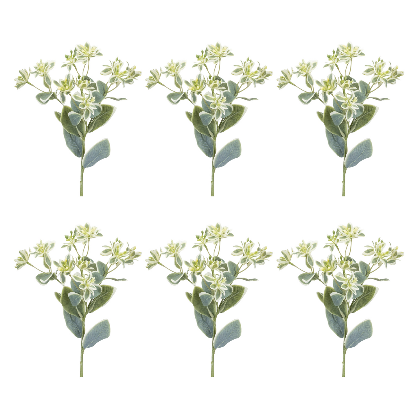 Euphorbia Floral Stem (Set of 6)