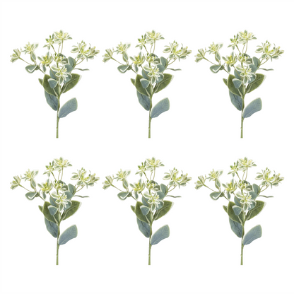 Euphorbia Floral Stem (Set of 6)