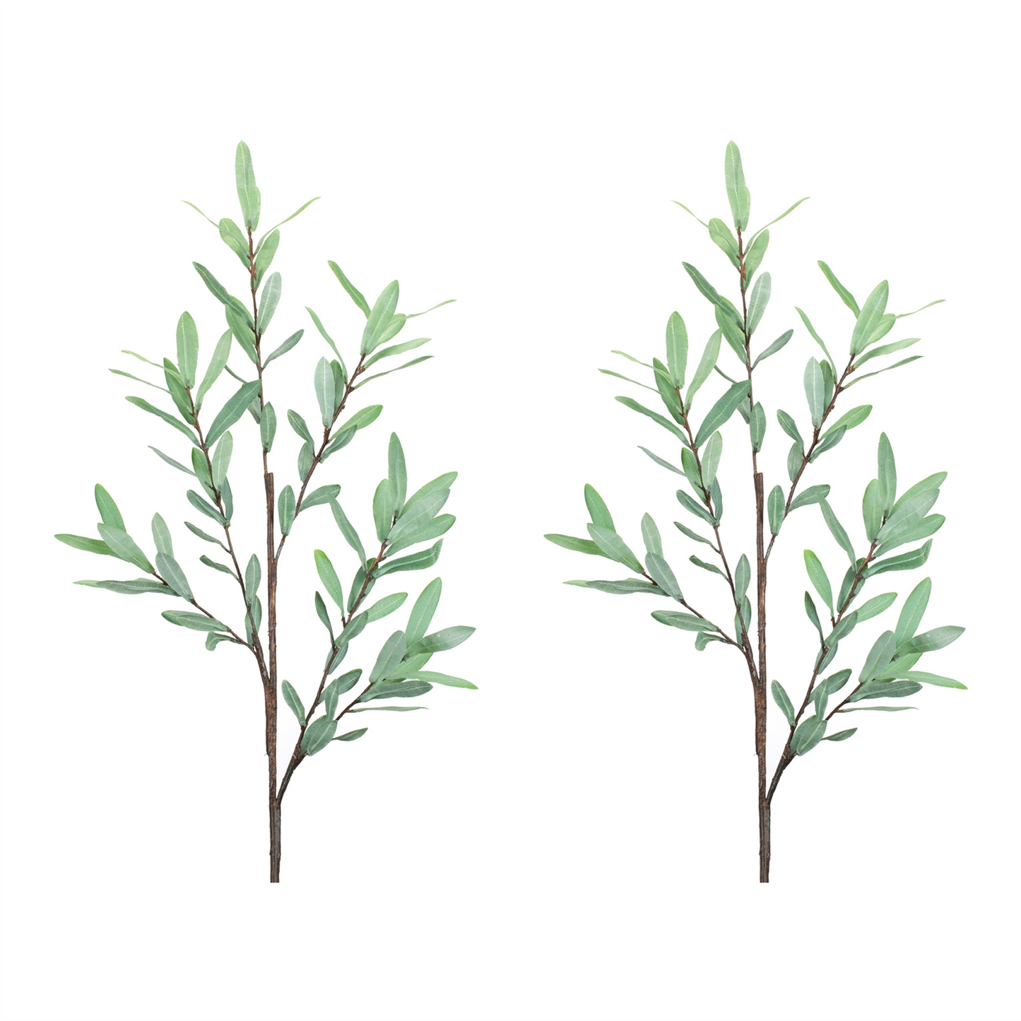 Olive Leaf Twig Branch (Set of 2)