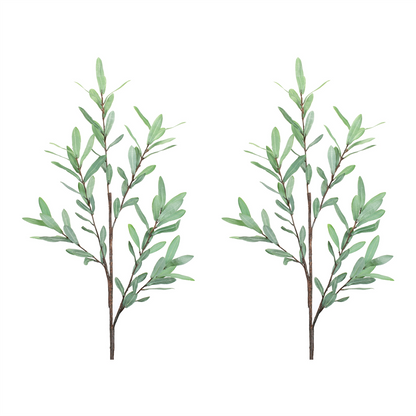 Olive Leaf Twig Branch (Set of 2)