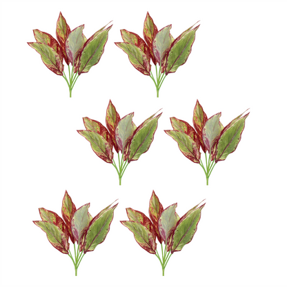 Variegated Foliage Plant (Set of 6)