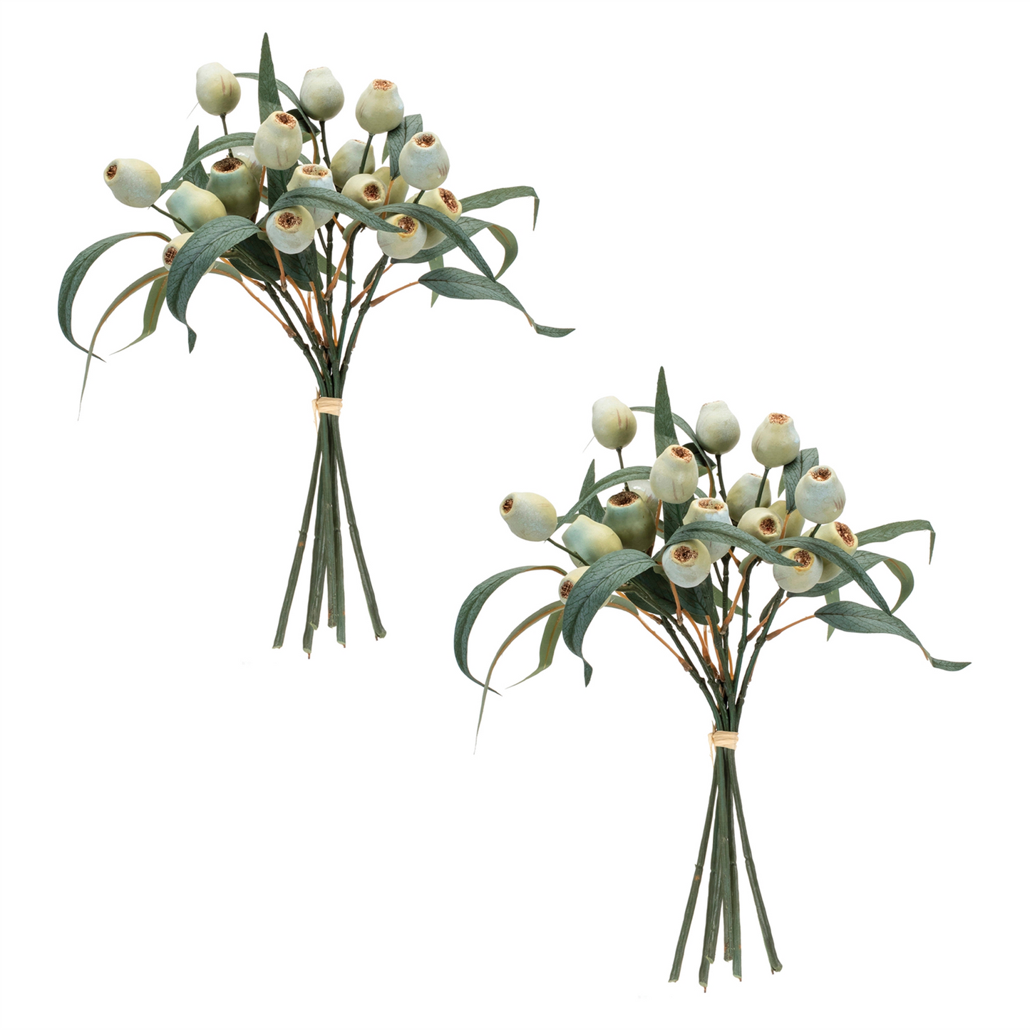 Green Pod Foliage Bundle (Set of 2)