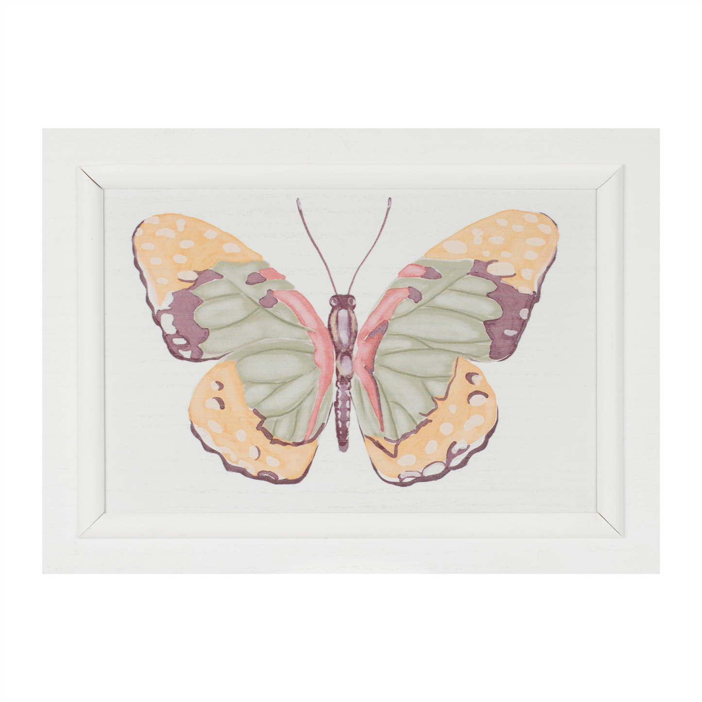 Framed Bird and Butterfly Wall Plaque (Set of 2)