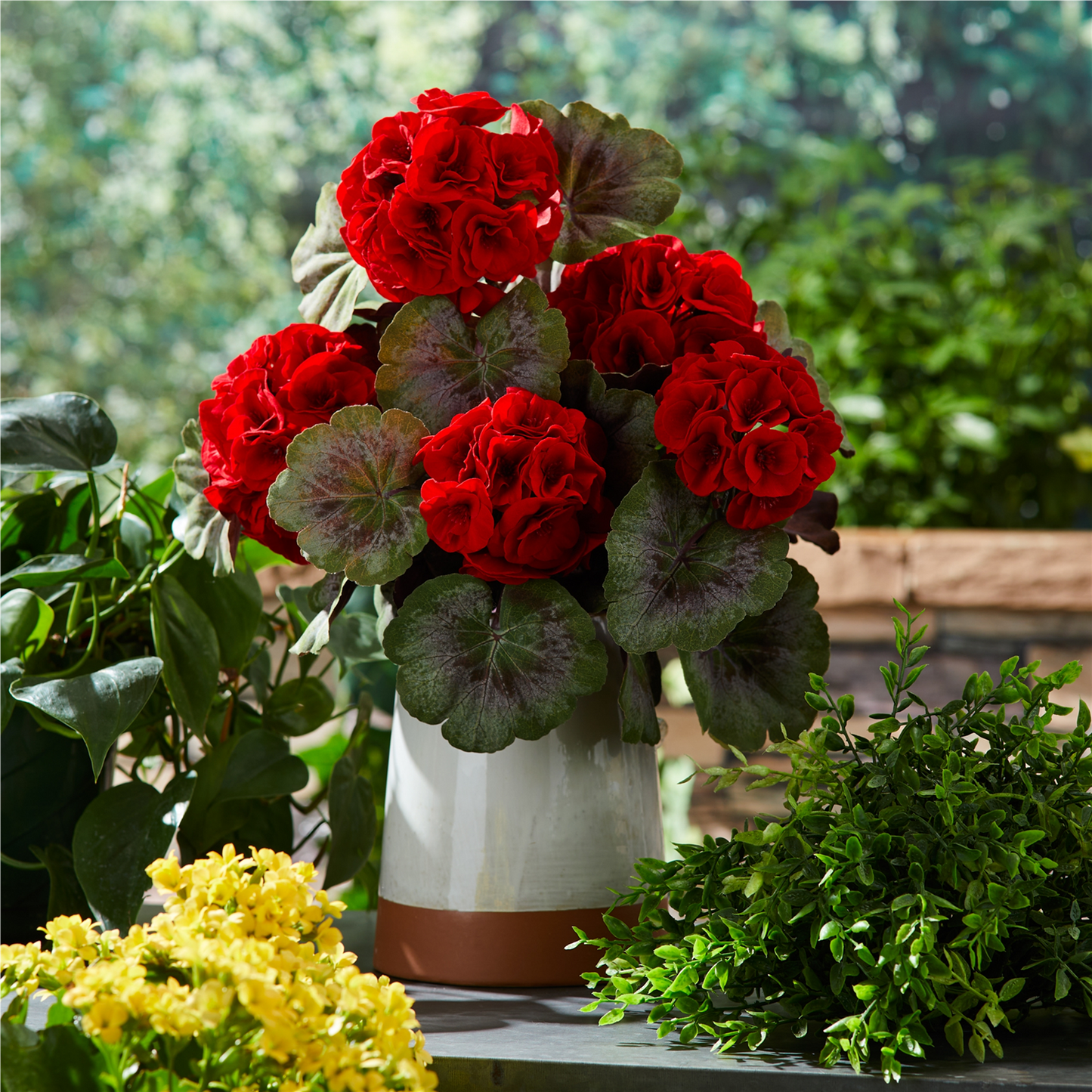 Geranium Floral Bush (Set of 2)