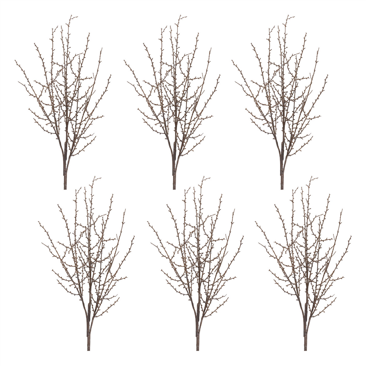 Birch Twig Branch (Set of 6)