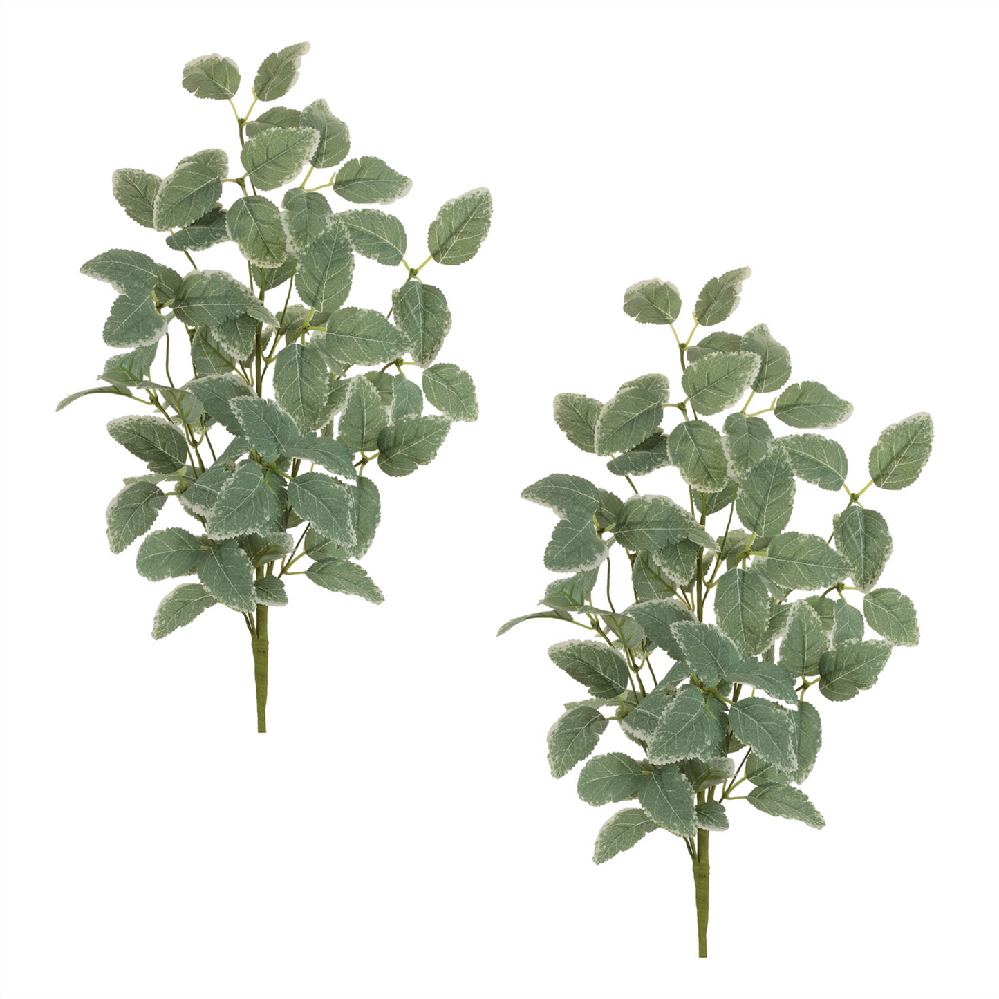 Variegated Foliage Spray (Set of 2)