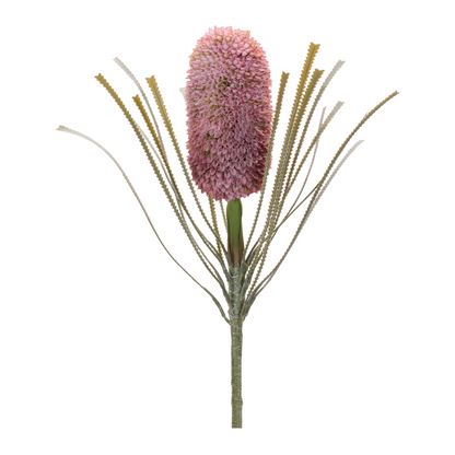 Protea Floral Stem (Set of 2)