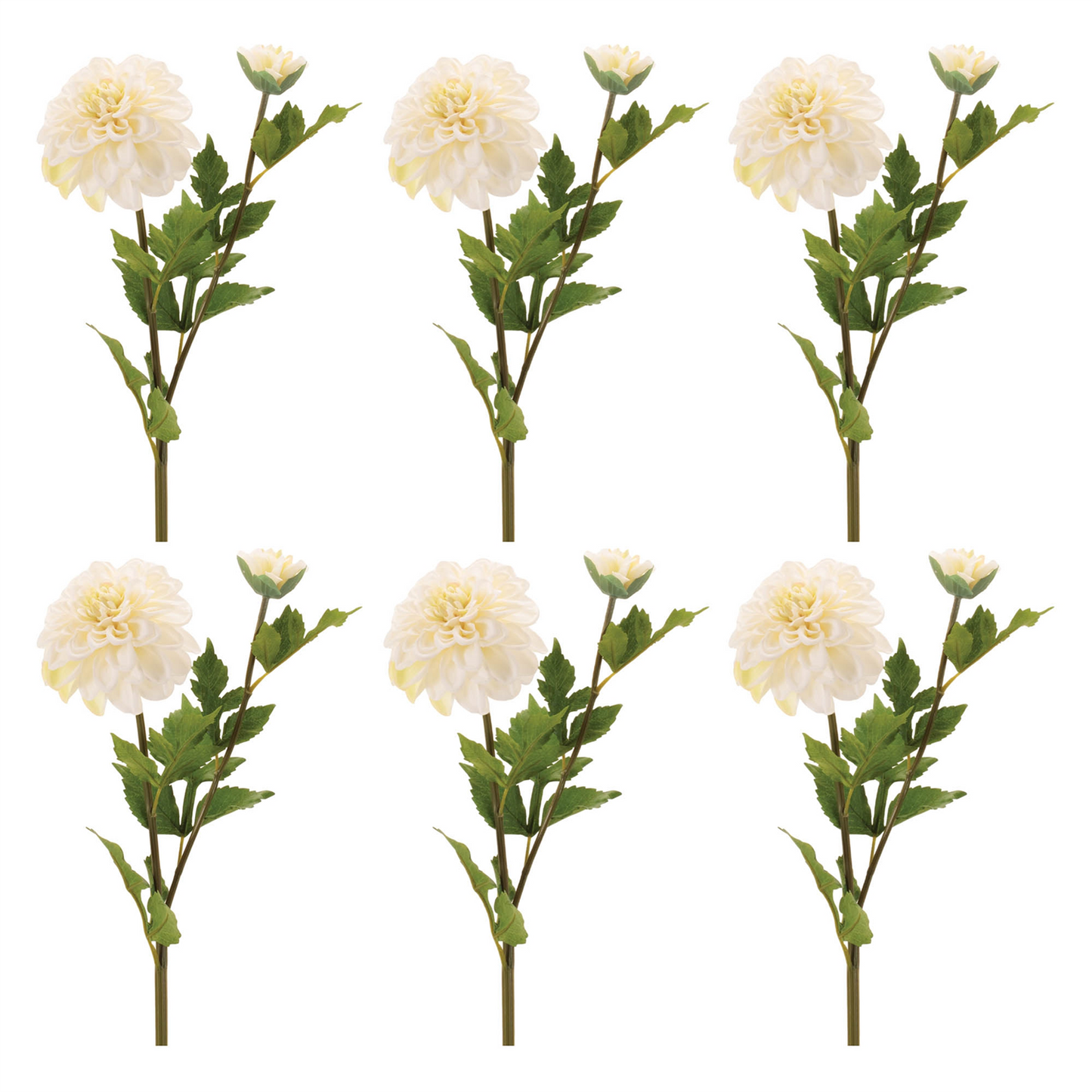 Dahlia Flower Stem (Set of 6)