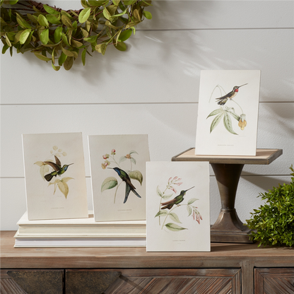 Tabletop Encyclopedia Hummingbird Print (Set of 4)