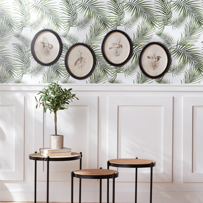 Framed Bird Print (Set of 4)