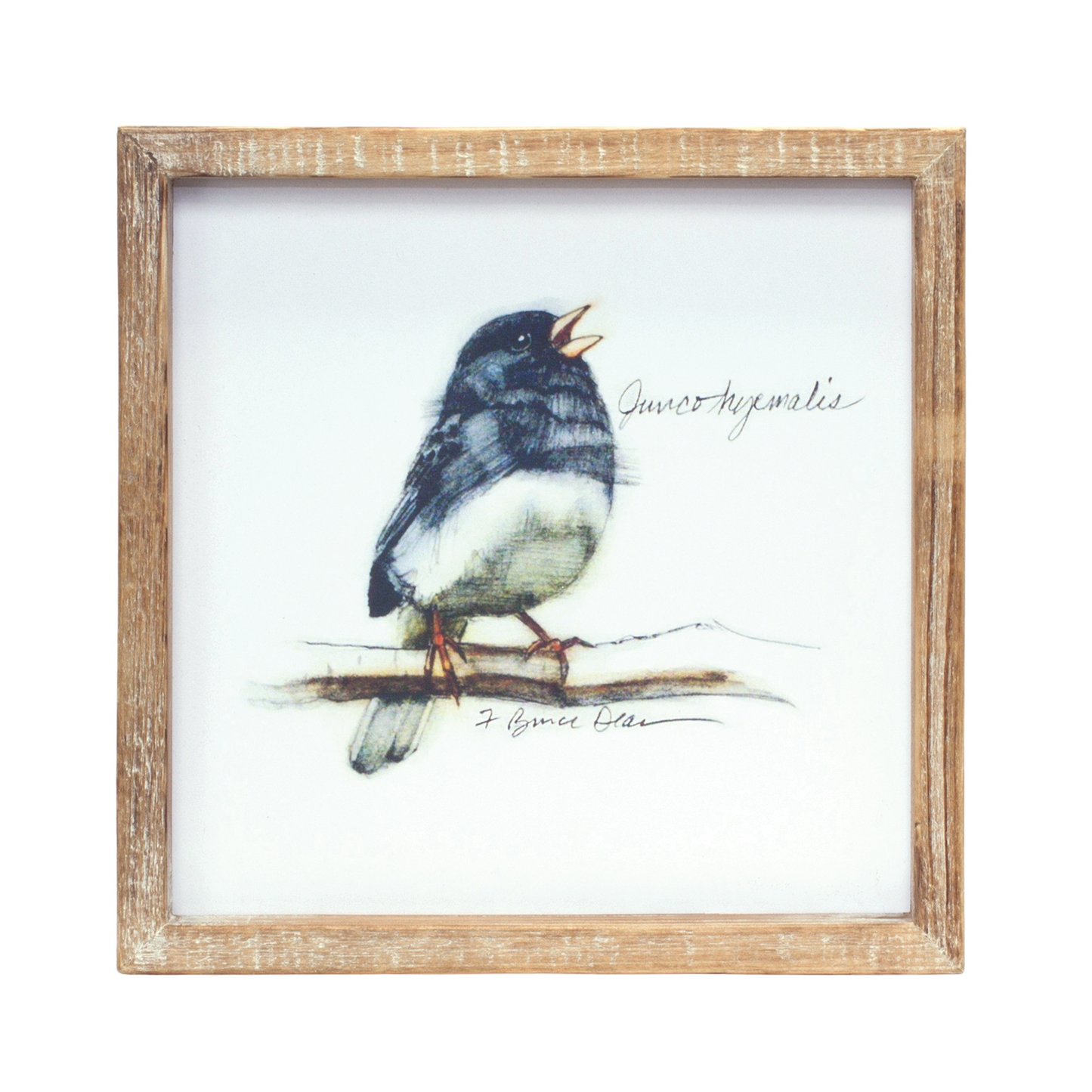Framed Bird Print (Set of 4) 9.5”SQ MDF/Wood