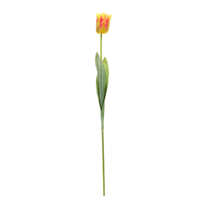 Tulip Floral Stem (Set of 6)