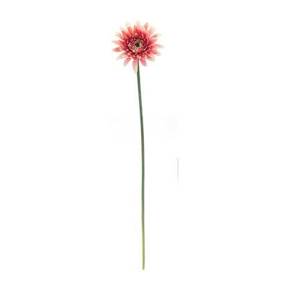 Gerbera Daisy Floral Stem (Set of 6)
