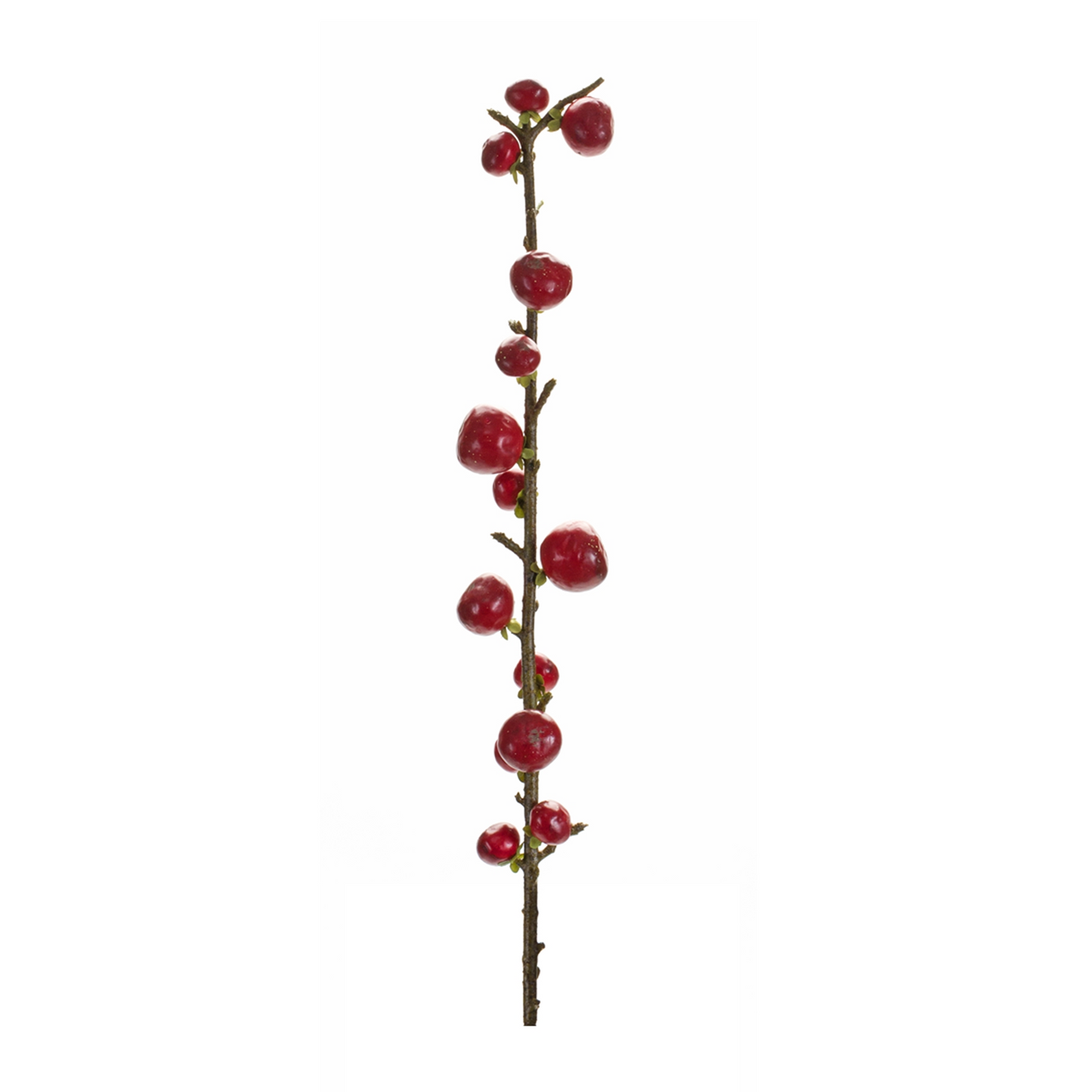 Red Berry Twig Stem (Set of 6)
