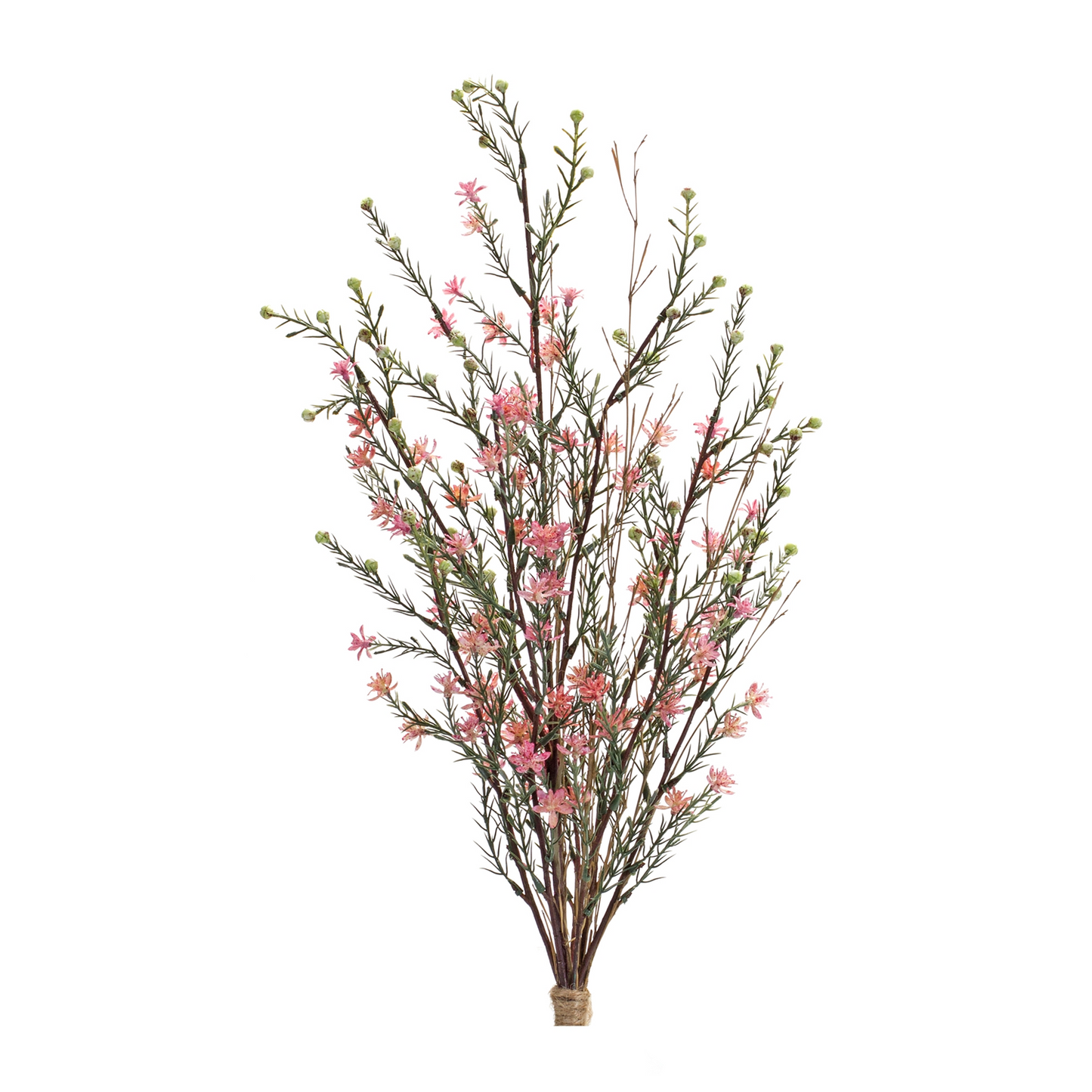 Leptospermum Bundle (Set of 6)  26.25”H Plastic