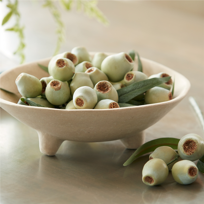 Green Pod Foliage Bundle (Set of 2)