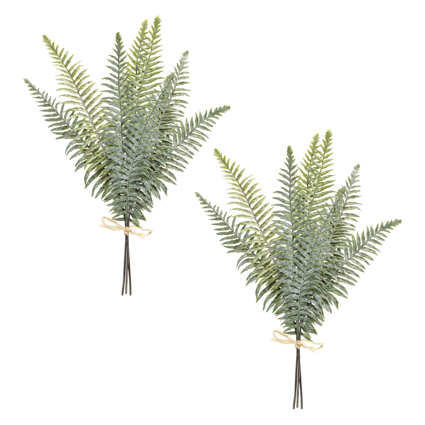 Fern Foliage Bundle (Set of 2)