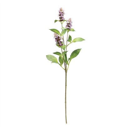 Buddleia Floral Stem (Set of 6)