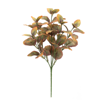 Variegated Foliage Plant (Set of 6)