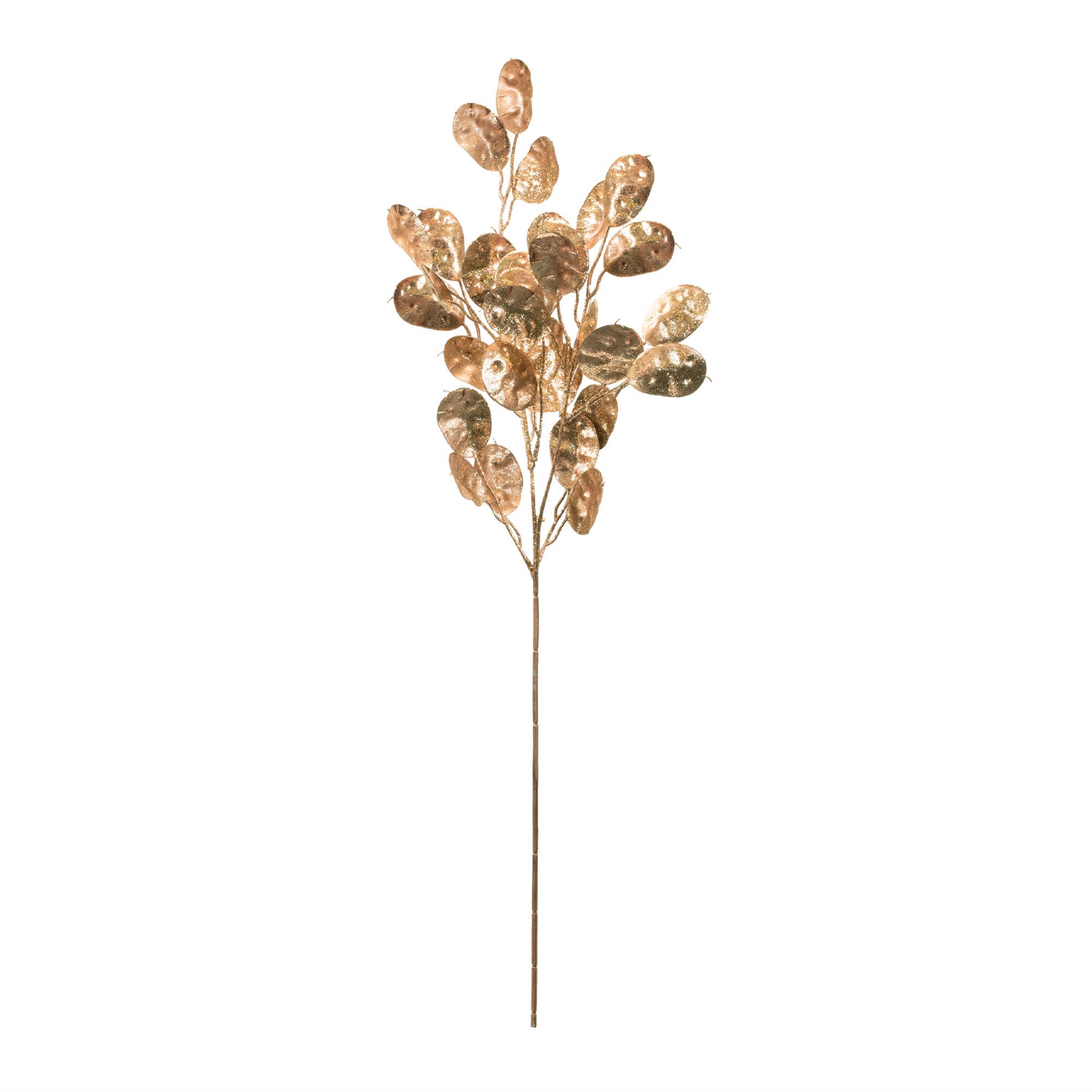 Silver Dollar Spray (Set of 6) 26"H