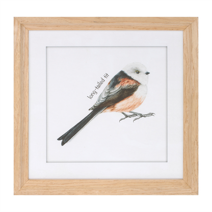 Framed Bird Print Under Glass (Set of 8)