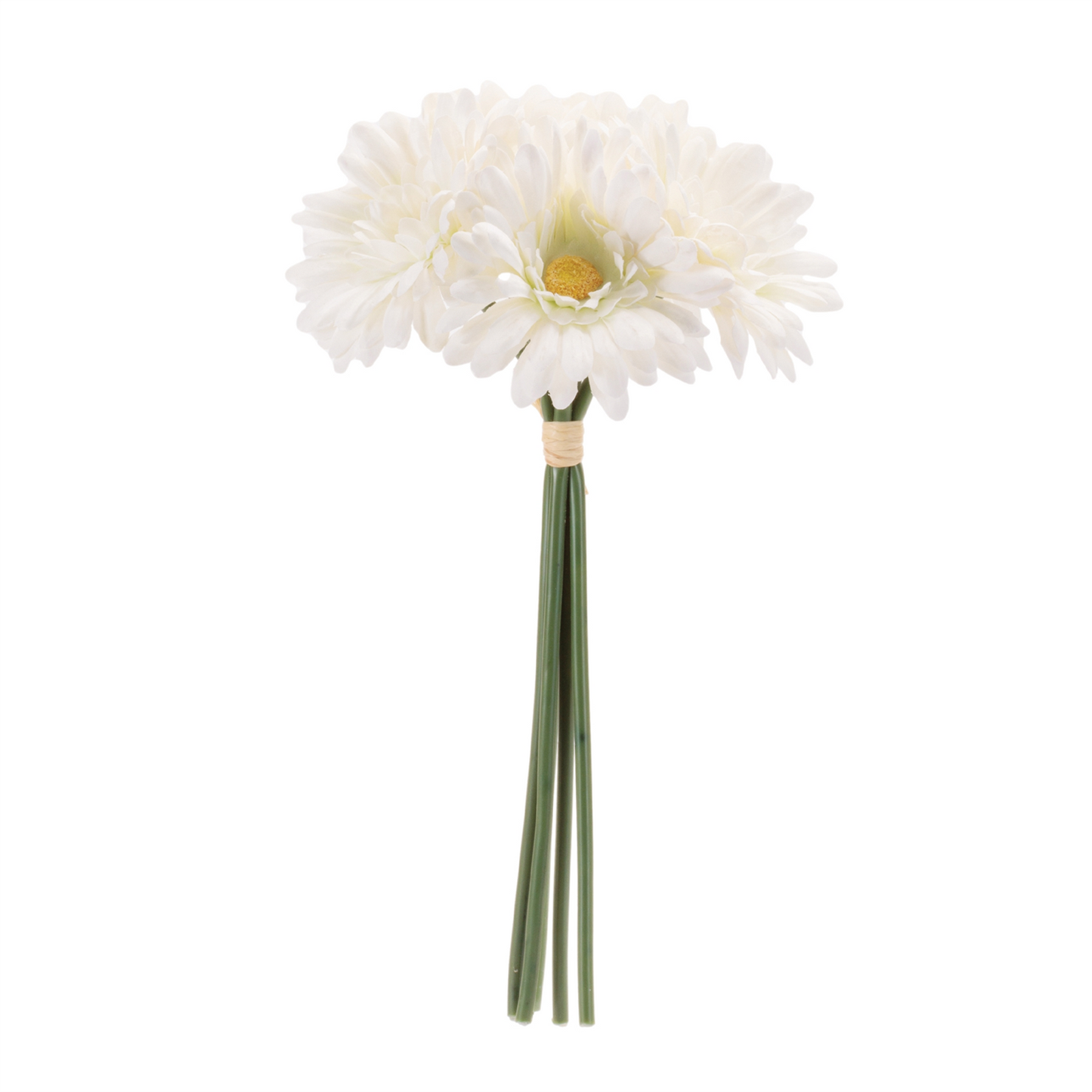Gerbera Daisy Floral Bundle (Set of 6)