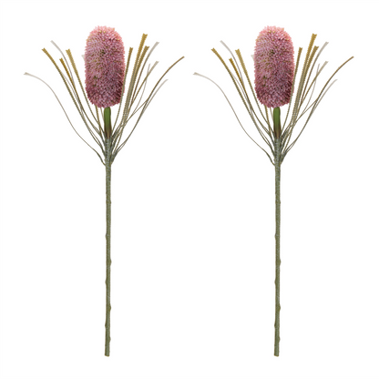 Protea Floral Stem (Set of 2)