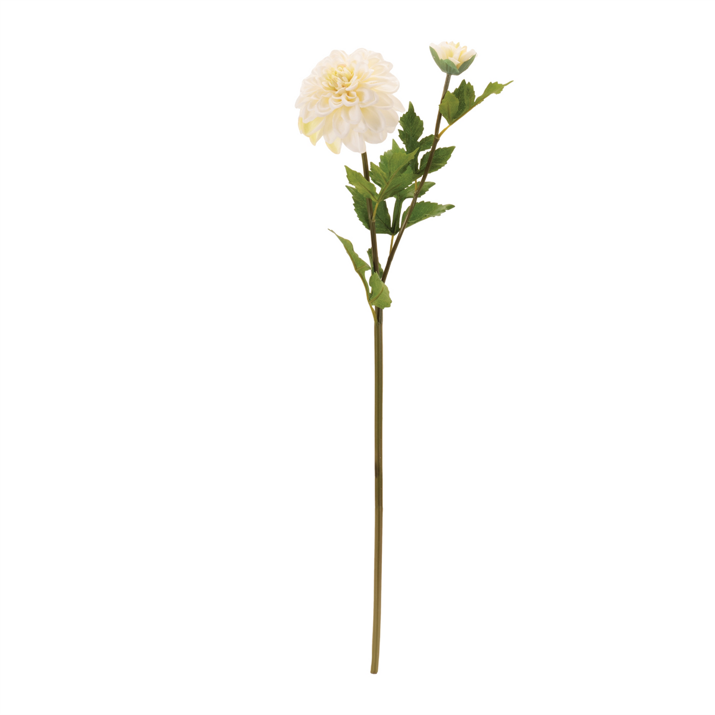 Dahlia Flower Stem (Set of 6)