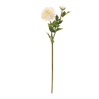 Dahlia Flower Stem (Set of 6)
