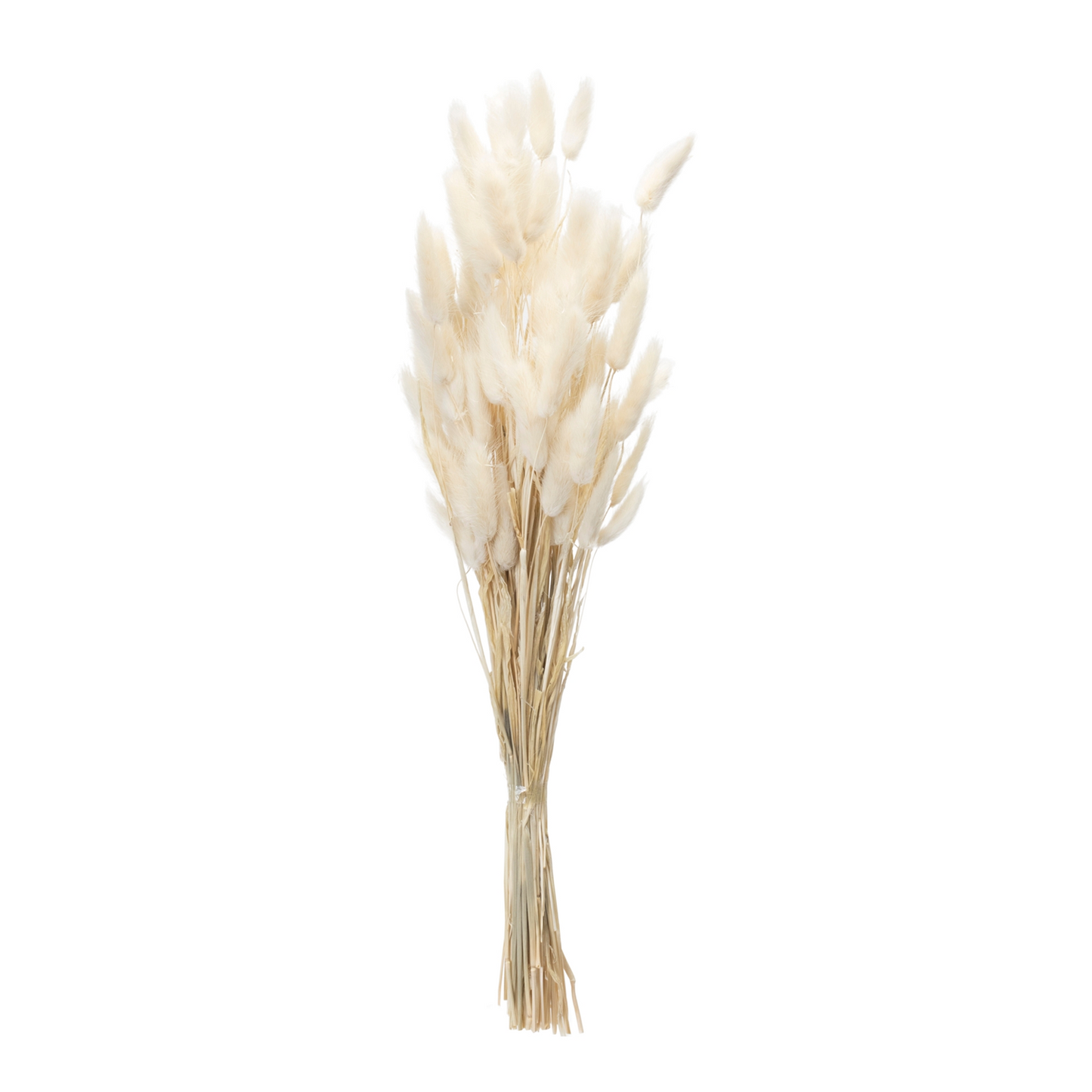 Bunny Tail Bundle (Set of 2)