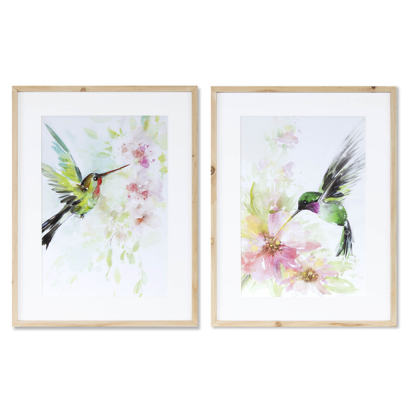Framed Hummingbird Print (Set of 2)