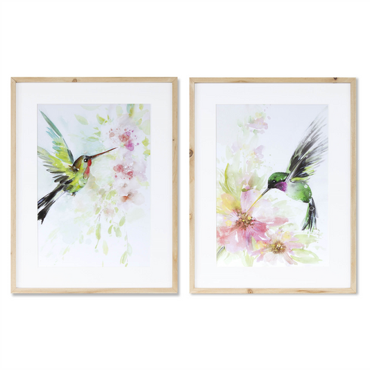 Framed Hummingbird Print (Set of 2)