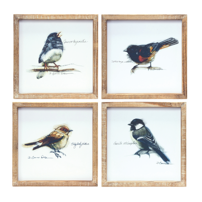 Framed Bird Print (Set of 4) 9.5”SQ MDF/Wood