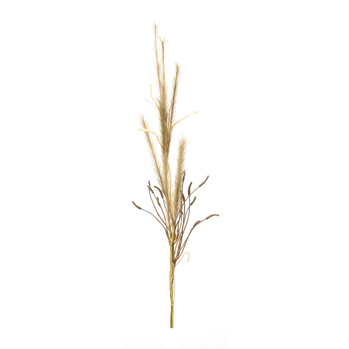 Foxtail Grass Spray (Set of 2)