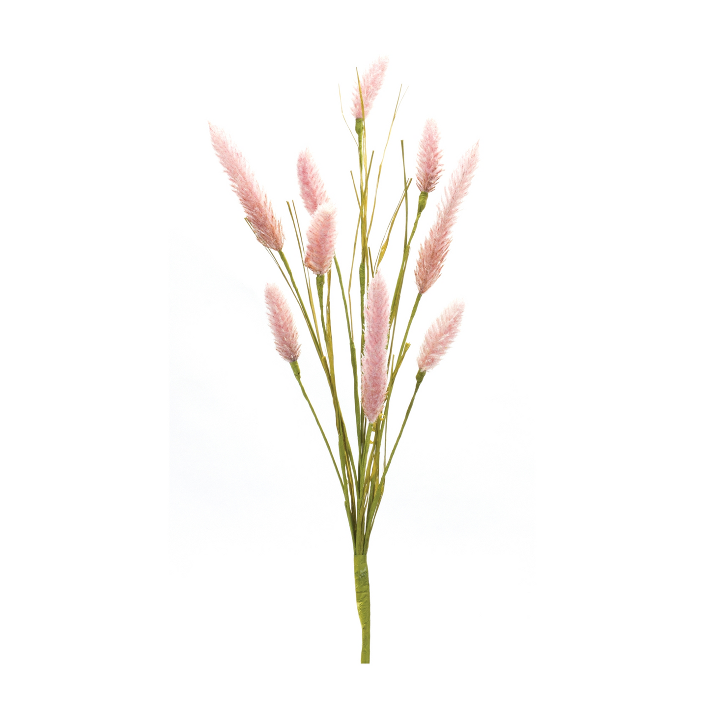 Foxtail Spray (Set of 6)