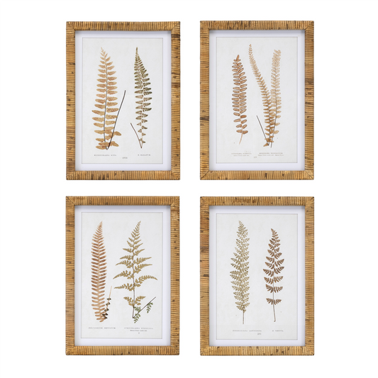 Wood Framed Fern Print (Set of 4)