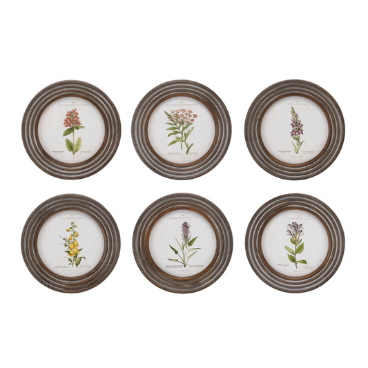 Round Framed Floral Print (Set of 6)