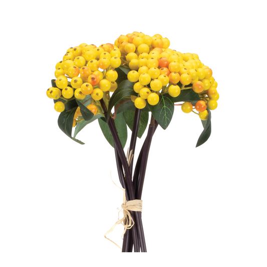 Yellow Berry Bundle (Set of 2)