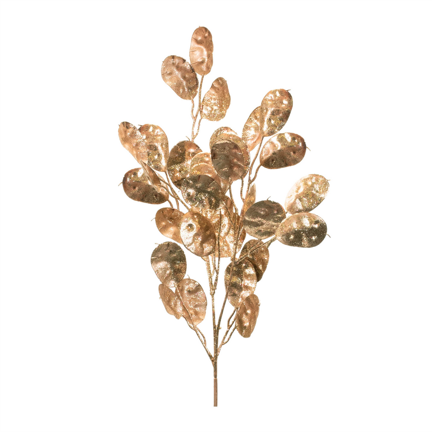 Silver Dollar Spray (Set of 6) 26"H