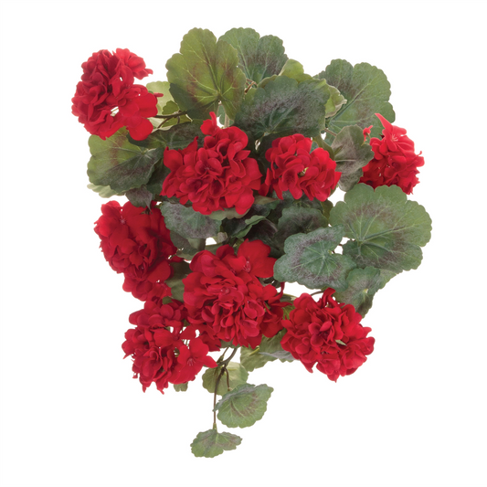 Hanging Geranium Floral Bush (Set of 2)