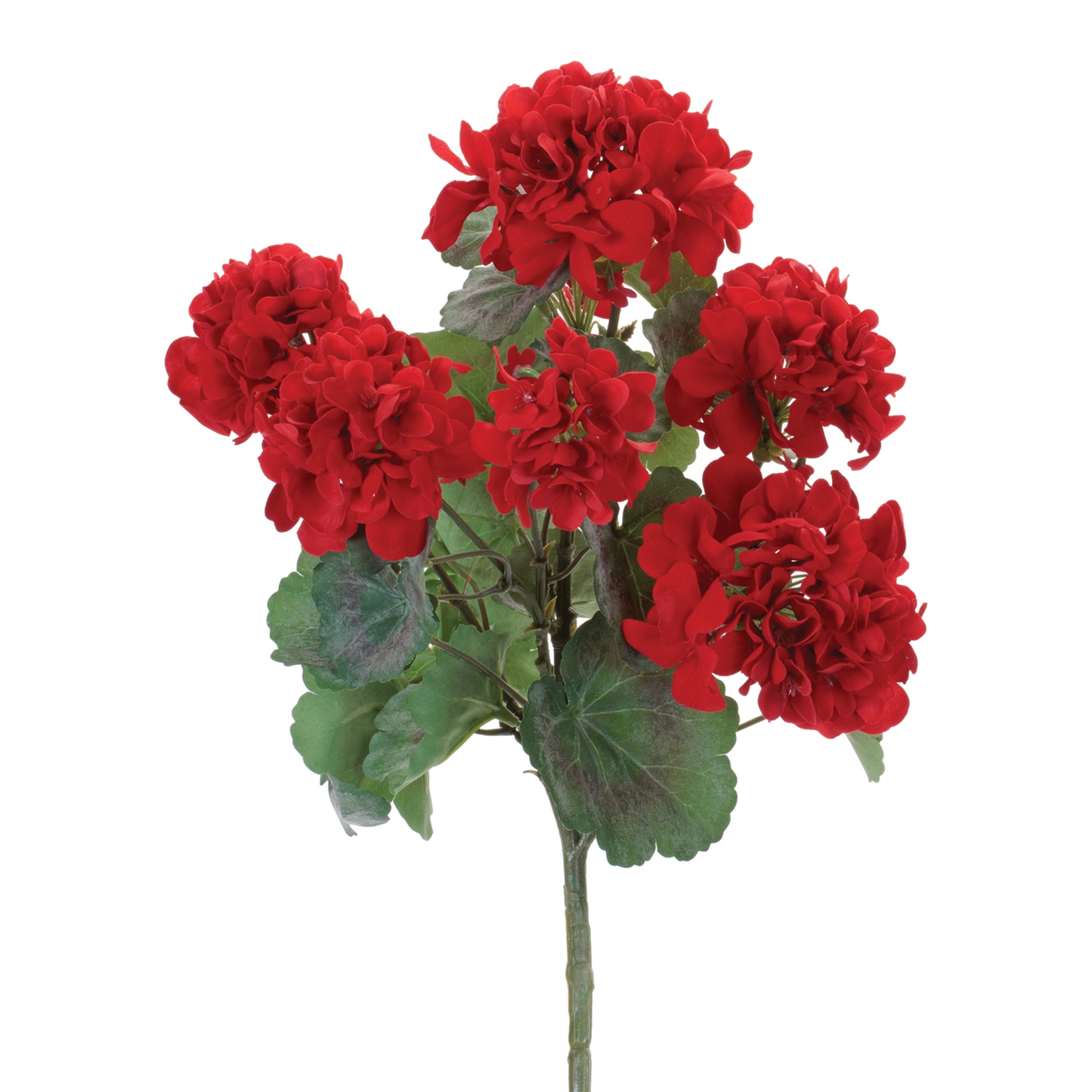 Geranium Floral Bush (Set of 2)