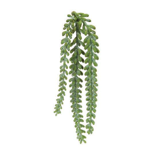 Hanging Sedum Succulent Spray (Set of 12)