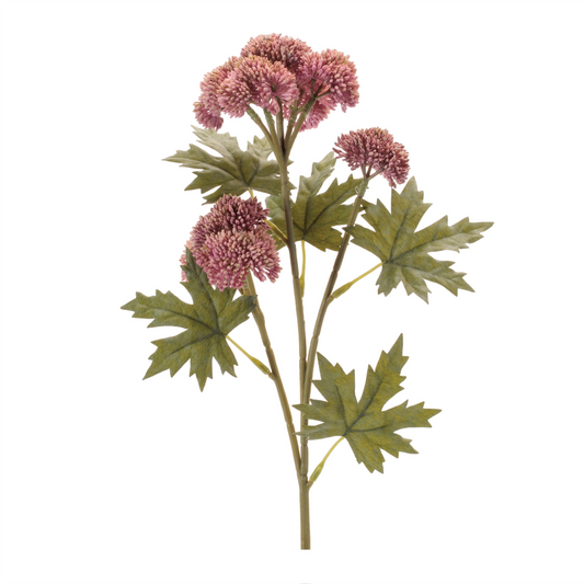 Sedum Succulent Spray (Set of 6)