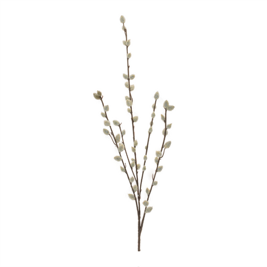Pussy Willow Twig Spray (Set of 6)