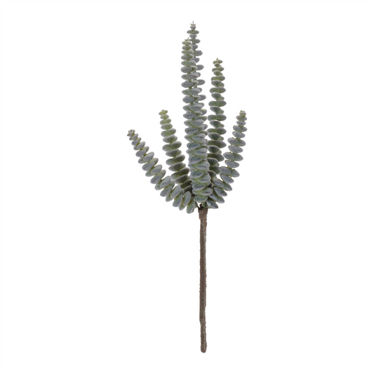 Succulent Plant Pick (Set of 6)